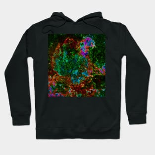 Black Panther Art - Glowing Edges 271 Hoodie